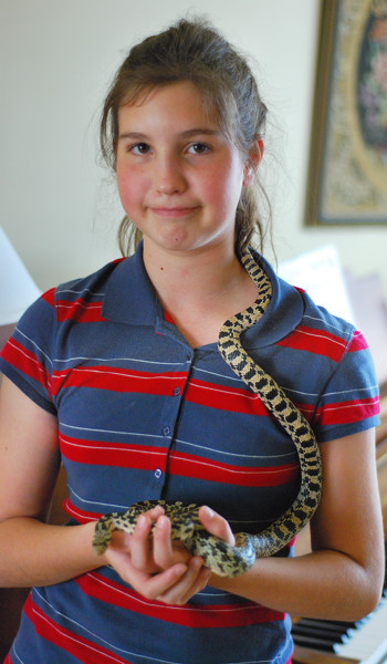 2007, wild-caught gopher snake